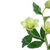 Allstate Floral 22" Helleborus Molly's Artificial Silk Floral Spray - 4 of 4