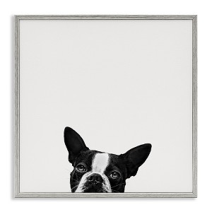 Stupell Industries Dog Peeking From Below, 12" x 12" - 1 of 4