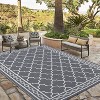Acekool Outdoor Rug, Waterproof Reversible Easy Care Patio Mat, Lightweight Portable Carpet for RV, Camping, Deck, Balcony - 3 of 4