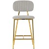 TOV Furniture Ariana Counter Stool with Gold Legs - Set of 2 in Grey - 4 of 4
