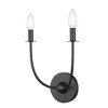 Shannon Collection 2-Light Wall Sconce - Elegant Steel Fixture for Living Room & Hallway - 4 of 4