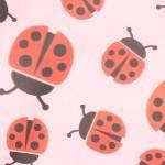 pink ladybugs