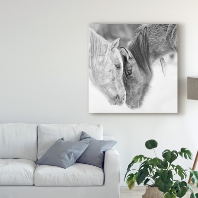 Black and White Horses Framed Canvas Art Print