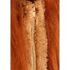 HalloweenCostumes.com Adult Deluxe Lion Costume - image 3 of 4