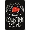 Trends International Counting Crows - Love Trap Unframed Wall Poster Prints - 4 of 4
