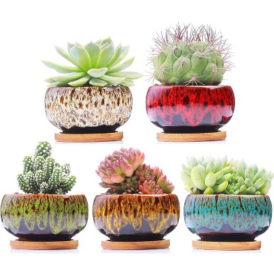 Cute Ceramic Succulent Garden Pots, Planter with Drainage and Attached Saucer, Set of 5 -Plants Not Included (Round)
