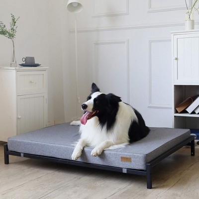 Large Gray Elevated Outdoor Dog Bed with Orthopedic Foam Mattress