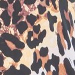 classic leopard