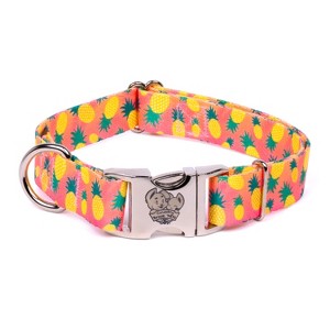Country Brook Petz Premium Dog Collar - Tasty Collection - 1 of 4