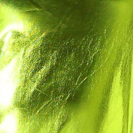 mustard green