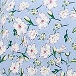 blue white flower