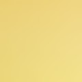 buttercup (textured)