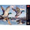 Trefl Premium Plus Mallards in Flight 1000 Piece Puzzle - 3 of 4