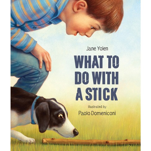 What To Do With A Stick - By Jane Yolen (hardcover) : Target