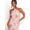 Petal and Pup Patricia Maxi Dress - 4 of 4