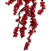 Northlight Berries Artificial Christmas Teardrop Swag - 24" - Red - Unlit - 4 of 4