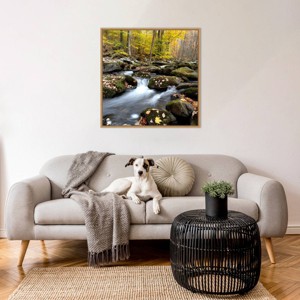 Amanti Art Autumn Rush by Danny Head Framed Canvas Wall Art Print - 1 of 4