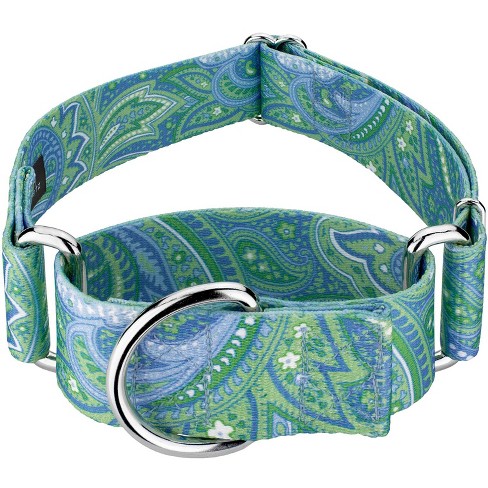 Country Brook Petz 2 Inch Green Paisley Martingale Dog Collar - image 1 of 4