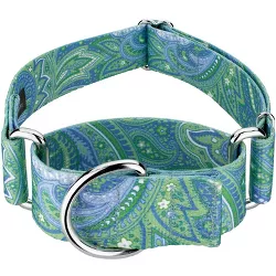 Country Brook Petz 2 Inch Green Paisley Martingale Dog Collar