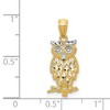 Black Bow Jewelry 14k Yellow Gold and White Rhodium Two Tone Owl Pendant, 9 x 24mm - 4 of 4