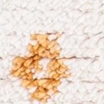 ivory/multi