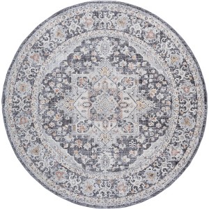Scarlett SCT418 Power Loomed Indoor Rugs - Safavieh - 1 of 4