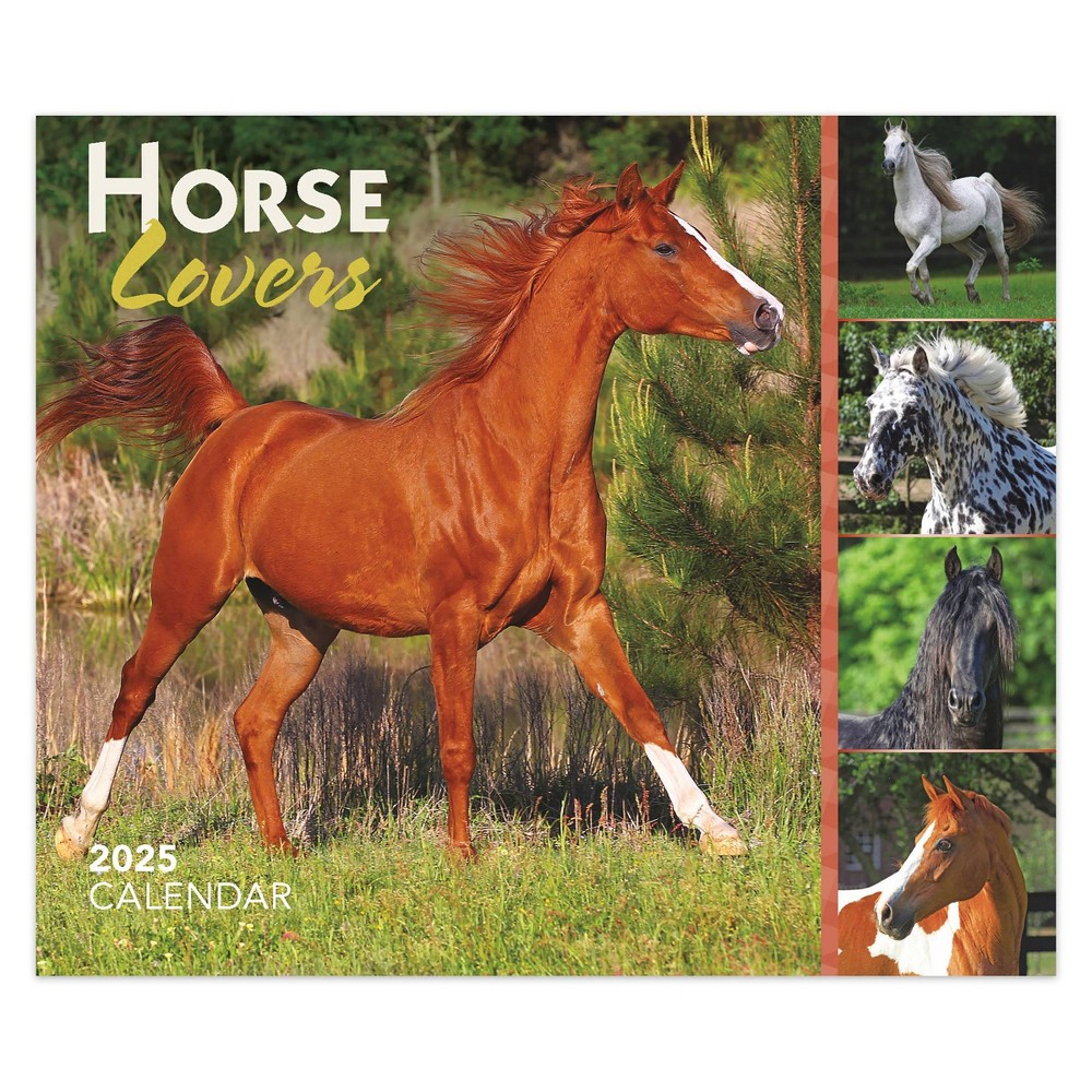 BrownTrout 2025 Desk Calendar 5.13x6.06 Horse Lovers