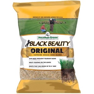 Jonathan Green Black Beauty Tall Fescue Grass Sun or Shade Grass Seed 25 lb - 1 of 1