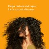 Native Vegan Strengthening Shampoo with Almond & Shea Butter, Clean, Sulfate, Paraben and Silicone Free - 16.5 fl oz - 3 of 4