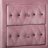Royal Hampton 26 Inch Nightstand, 2 Drawer, Cabriole Legs, Wood, Pink Upholstery - 3 of 4