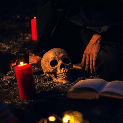 Joyfy 7.5'' Halloween Life Size Human Skull Model, Realistic Plastic Human Skeleton Indoor Outdoor Decor, Head Bone Tabletop Home Decor