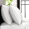 LISM Set of 2 Pillowcases Envelope Closure Bed Pillowcases - 2 of 4