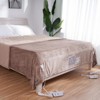 VEVOR Heated Blanket Electric Throw,84"x90" Queen Size,with 10 Hours Timer Auto-off & 5 Heating Levels,Machine Washable,ETL & FCC Certification,Brown - 2 of 4