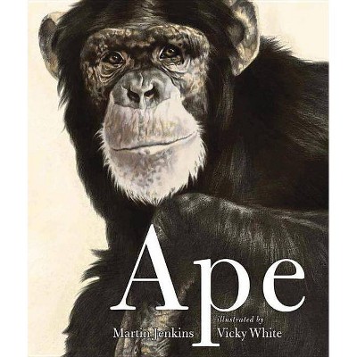 Ape - by  Martin Jenkins (Paperback)