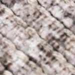 black, charcoal, cream, medium brown, tan, green, pale pink, off white, gray