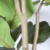 Racxily 6FT Artificial Fiddle Leaf Fig Tree with Black Pot, Real Touch Fake Indoor Plant for Home Office Living Room Corner Decoration, 1pc/set - 4 of 4