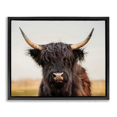 Stupell Industries Black Highland Cow Portrait, 31" x 25"