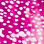 raspberry burst
