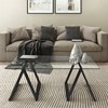  Metal Sawhorse legged Coffee Table in Black - Henn&Hart - 2 of 4