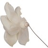 Vickerman 4" Natural Botanicals Dried Sola Flower on Wire Stem - 3 of 4