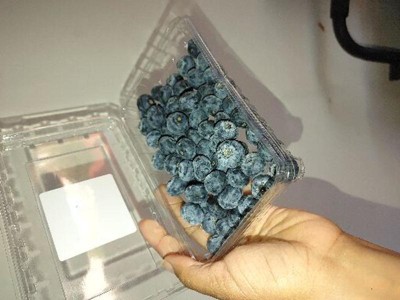 Jumbo Blueberries Prepacked - 9.8 Oz