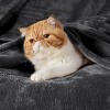 Bedsure | Flannel Blanket Solid 280GSM Soft Fuzzy Plush  Bed Blanket - 2 of 4