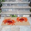 Liora Manne Frontporch Coastal Indoor/Outdoor Rug.. - 4 of 4