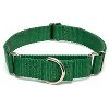 Country Brook Petz Martingale Heavyduty Training Collar with No Buckle - Service Collar for All Dogs - Vibrant, Colorful Collection - 2 of 4