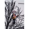Gallerie II Mariachi Skeleton Player Ornament - 3 of 3