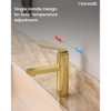 YAWWALK Single Handle Single Hole Bathroom Faucet with Valve - 4 of 4