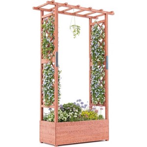 Raised Garden Bed with Trellis, Hanging Roof, and 4 Drainage Holes, Freestanding Elevated Garden Bed for Climbing Plants, Vines, Flowers - 1 of 4