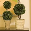 Plum & Post Boxwood Double Faux (Fake) Sphere Topiary 28" - 3 of 3