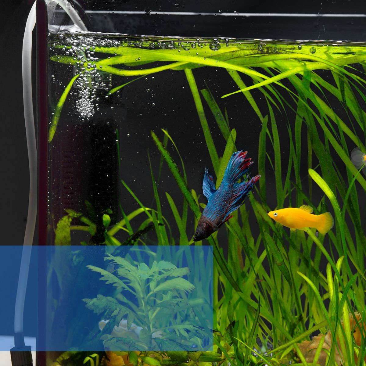 Unique Bargains Aquarium Background Aquarium Background Static Cling Fish Tank Background 1 Set - thumbnail 2