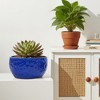 SpassWay 15" Dia Outdoor Indoor Ceramic Planter Pot Decorative Planter with Drainage Hole Patio Flower Pot - 2 of 4